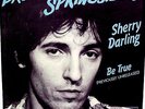BRUCE SPRINGSTEEN: 