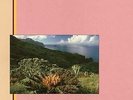 Indian Summer - FRIEDEMANN [LP]