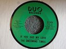 Oncoming Times If You Had My Love DUO 7459 EX Crossover Soul