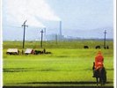 CONSORZIO SUONATORI INDIPENDENTI C.S.I - TABULA RASA ELETTRIFICATA [ 2014 - LP ]