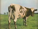 Pink Floyd(A4/B5 Vinyl LP Gatefold)Atom Heart Mother-Harvest-SHVL 781-6-VG-/Ex-
