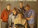 The Fortunes(Vinyl LP 1st Issue)The Fortunes-Decca-LK 4736-UK-VG+/VG+