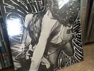 Mudhoney - Superfuzz Big Muff (Sealed Original Pressing Colored Vinyl)