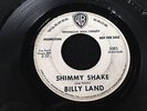 Billy Land on Warner Brothers  SHIMMY SHAKE JOE SOUTH ROCKABILLY 45  hear