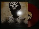CONVERGE jane doe 2LP RED CV sxe nyhc trash talk madball earth crisis bitter end