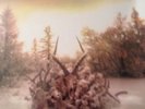 King Animal by Soundgarden Vinyl Box set new sealed