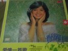 VINTAGE TERESA TENG LP POLYDOR  2488 838