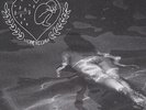 Uh Bones - Honey Coma Vinyl US LP