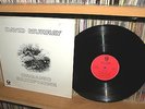 DAVID MURRAY - ORGANIC SAXOPHONE - PRESSAGE ORIGINAL FRANCAIS LP PALM