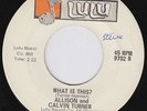 ALLISON & CALVIN TURNER What Is This NORTHERN SOUL stomper FUNK sweet soul HEAR