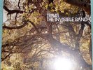 Travis - The Invisible Band - vinyl LP - First original UK pressing w/inner slv