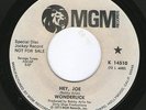 Wonderlick -Hey Joe Killer HARD ROCK update from Bobby Arlin Leaves 1973 Hear
