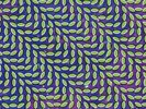 ANIMAL COLLECTIVE - MERRIWEATHER POST PAVILION 2 VINYL LP NEW+