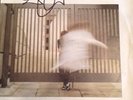 Robert Plant - Big Log Signed Autographed Vinyl, Led Zeppelin