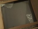 Pearl Jam Vault #4 Live in Bellingham WA vinyl release 05/10/2000