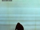 Foals - What Went Down [Vinyl New]