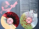 Judge What It Meant Complete Discography LP Warzone Gorilla Biscuits