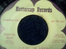 RARE NORTHERN SOUL 45- SHEILA ANTHONY- LIVIN' IN LOVE- PROMO BUTTERCUP