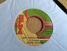 Prince Hammer TEN THOUSAND LIONS Rare Belva Ja 7