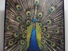 The Bluetones ?– Expecting To Fly SEALED 1st Press 1996 UK LP Dodgy Oasis BLur