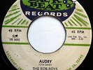 THE ROB-ROYS 45 Audry / Tell Me Why DOO WOP Back Beat 1957 w3658