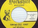 the DOLPHINS Surfing East Coast b/w I Should Have Stayed GARAGE rock SURF 45 e9