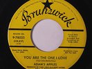 rare Soul 45 ADAM'S APPLES you are the one i love BRUNSWICK Hear