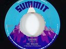 Wailers 