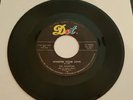 Original 1960 The Phantom Love Me / Whisper Your Love 45 rpm on Dot VG-VG+ 16056