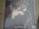 PANTERA far beyond driven,LP,GERMAN PRESS EASTWEST REC