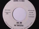 FANTASTICS: That One / High Note 45 (dj) rare Soul