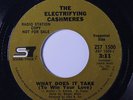 ELECTRIFYING CASHMERES: What Does It Take / Ooh, I Love You 45 rare Soul