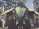 SWERVEDRIVER MEZCAL HEAD VINYL SEALED RARE
