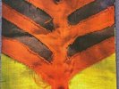 Yeah Yeah Yeahs ?– Show Your Bones LP Vinyl mint with Picture Sleeve