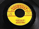 Wild Things on Showboat  RARE INDIANA GARAGE TWIN-SPIN 45  hear