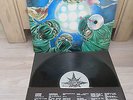 Autopsy - Severed Survival 1st Press LP Peaceville 1990