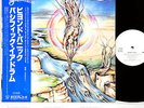 PACIFIC EARDRUM beyond panic JAPAN orig LP w/OBI PROMO rare UK prog