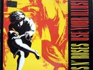 DLP / GUNS N' ROSES / USE YOUR ILLUSION I / RARITÄT /