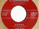 BAILEY'S NERVOUS KATS Cobra rare Sacramento surf garage M- James Mills Camelia