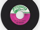 Garage 45-Thee Midniters-Jump, Jive, And Harmonize / Looking Out A Window