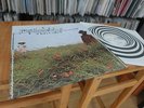IAN CARR BELLADONNA 1972 VERTIGO SWIRL UK 1ST PRESS MEGA RAR