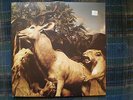 INTERPOL OUR LOVE TO ADMIRE 1 LP sides 3 & 4 + CD NEAR MINT