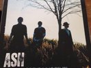 Ash - Twilight Of The Innocents Lp 2x12 Vinyl. Tim Wheeler, Nirvana, Failure