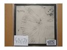 Sky-Skating [Vinyl-LP]. PEACOCK, ANNETTE: