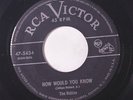 ROBINS: How Would You Know / Let's Go To The Dance 45 (faint pencil wol) rare V