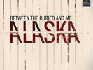 Between The Buried And Me Alaska 2x LP Vinyl DL NEW