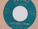 THE WILD ONES SOMETHING'S WRONG SUEMI EL PASO TEXAS GARAGE 45 1965 hear