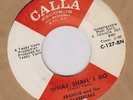 Frankie and the Classicals 