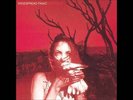 WIDESPREAD PANIC Everyday VINYL LP RECORD Brand New