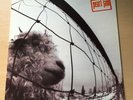 LP PEARL JAM TEN VS 1993 ORIGINAL HOLLAND EUROPE MINT ALICE IN CHAINS NIRVANA
